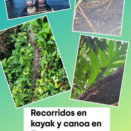 Apartamentos Caiman 3 Tortuguero Εξωτερικό φωτογραφία