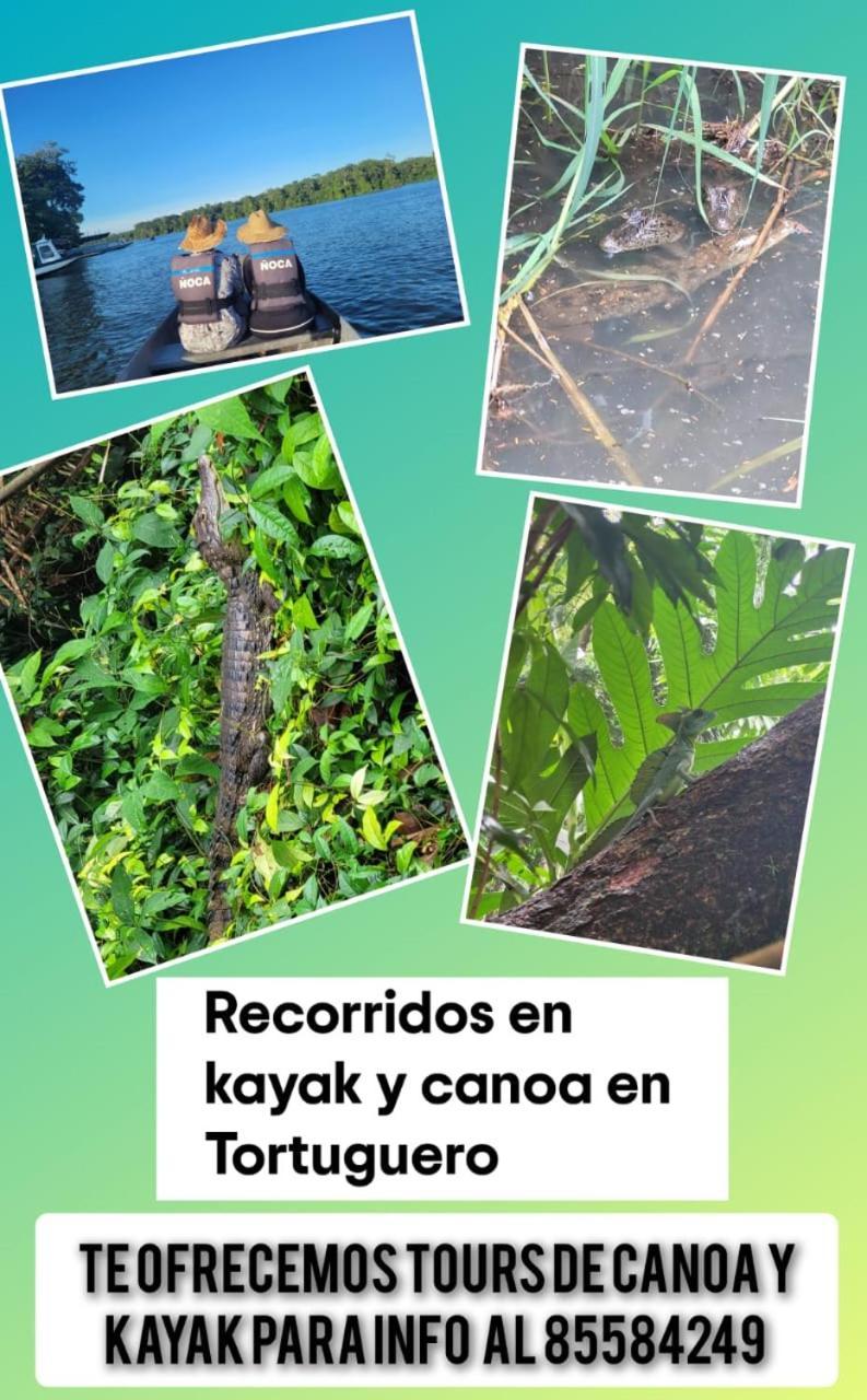 Apartamentos Caiman 3 Tortuguero Εξωτερικό φωτογραφία